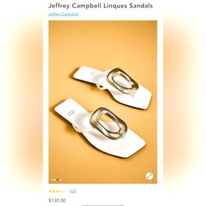 Jeffrey Campbell Linques flip flop. US 10.